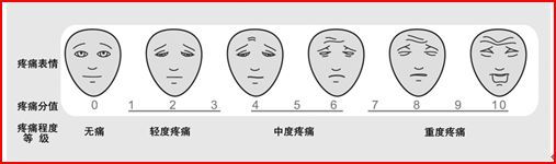 图2.面部表情疼痛评分量表