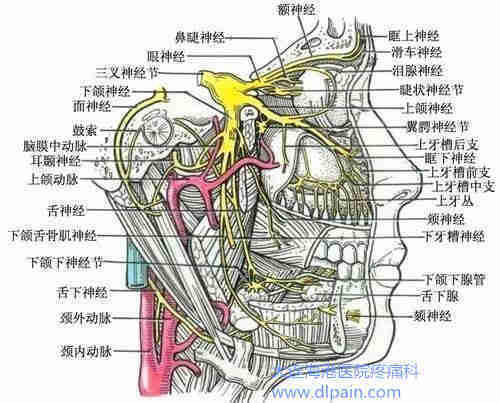 三叉神经痛的终极治疗手段-半月神经节穿刺治疗