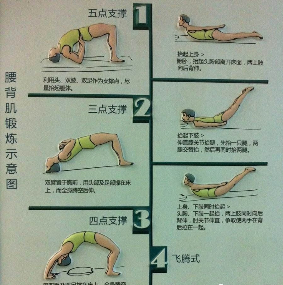 腰部肌肉锻炼方法
