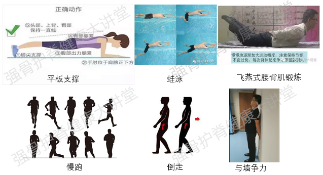 核心肌群 之 多裂肌 筋骨解析:核心肌群之竖脊肌 核心肌群训练对脊柱