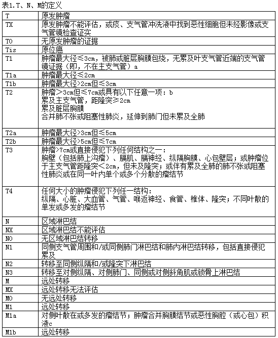 非小细胞肺癌ajcc分期2010年第7版