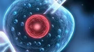 1492397623887341.png 4.png