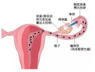 1492397540138683.png 2.png