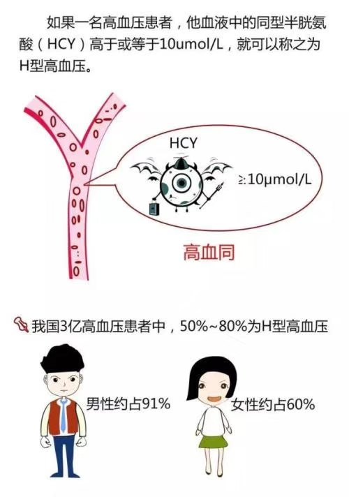 同型半胱氨酸对女性胎停及流产的影响 - 好大夫