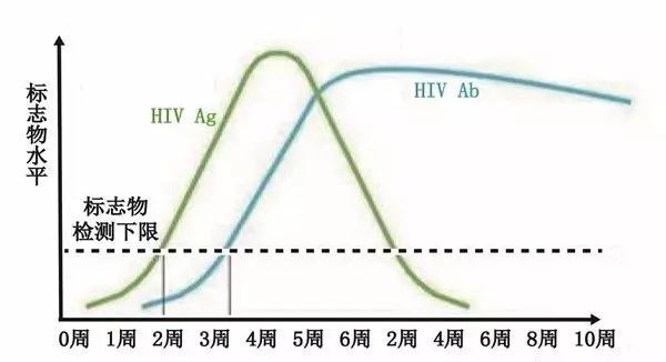 艾滋病的窗口期是多长? 多久可以检测到艾滋病