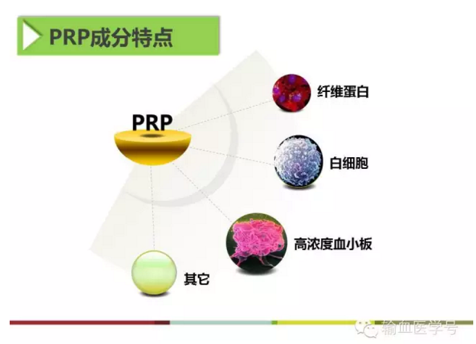 富血小板血浆的临床应用