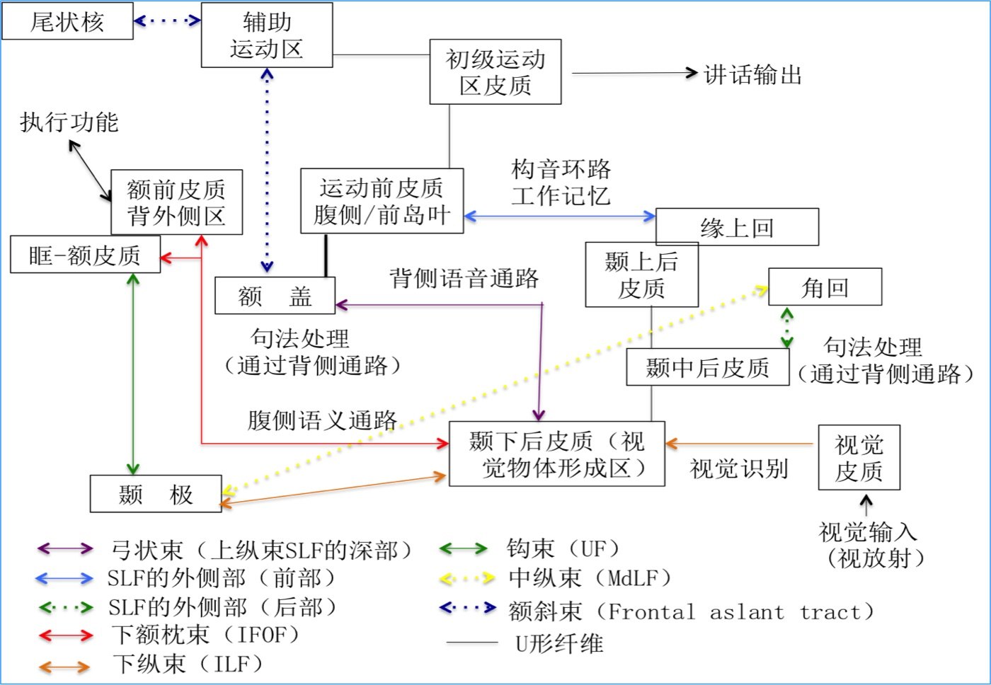 语言网络.jpg