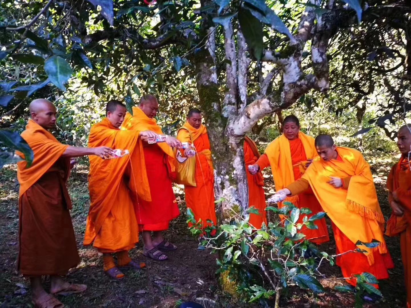 李可老中医名方30首