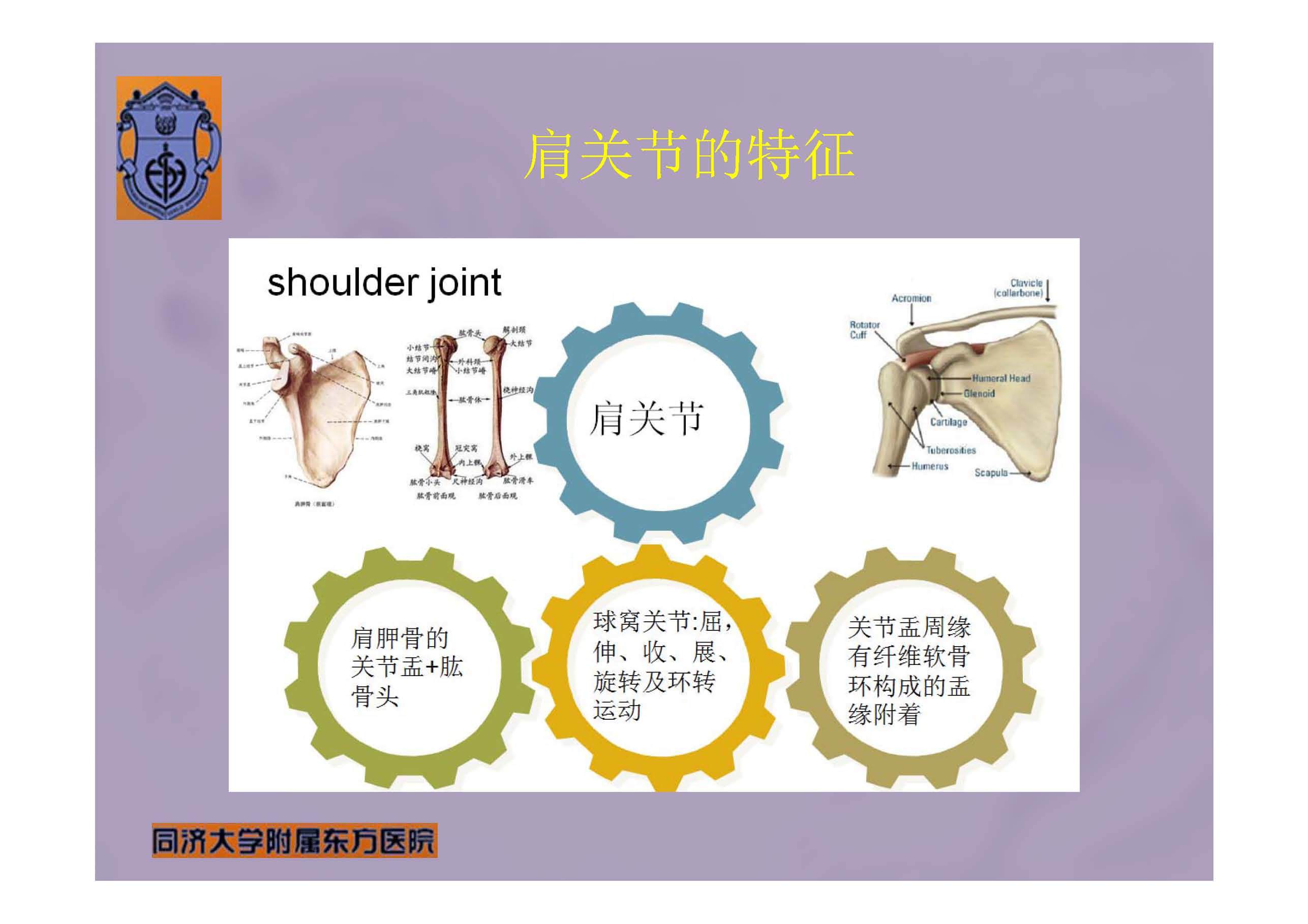 冲击波治疗肩关节疾病