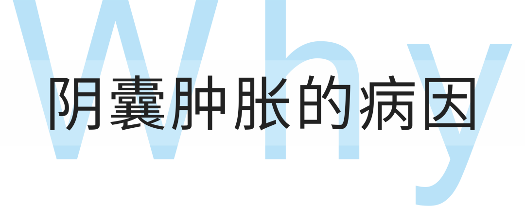 临床上经询问病史和局部触诊透光试验等物理检查,可确定阴囊肿大的