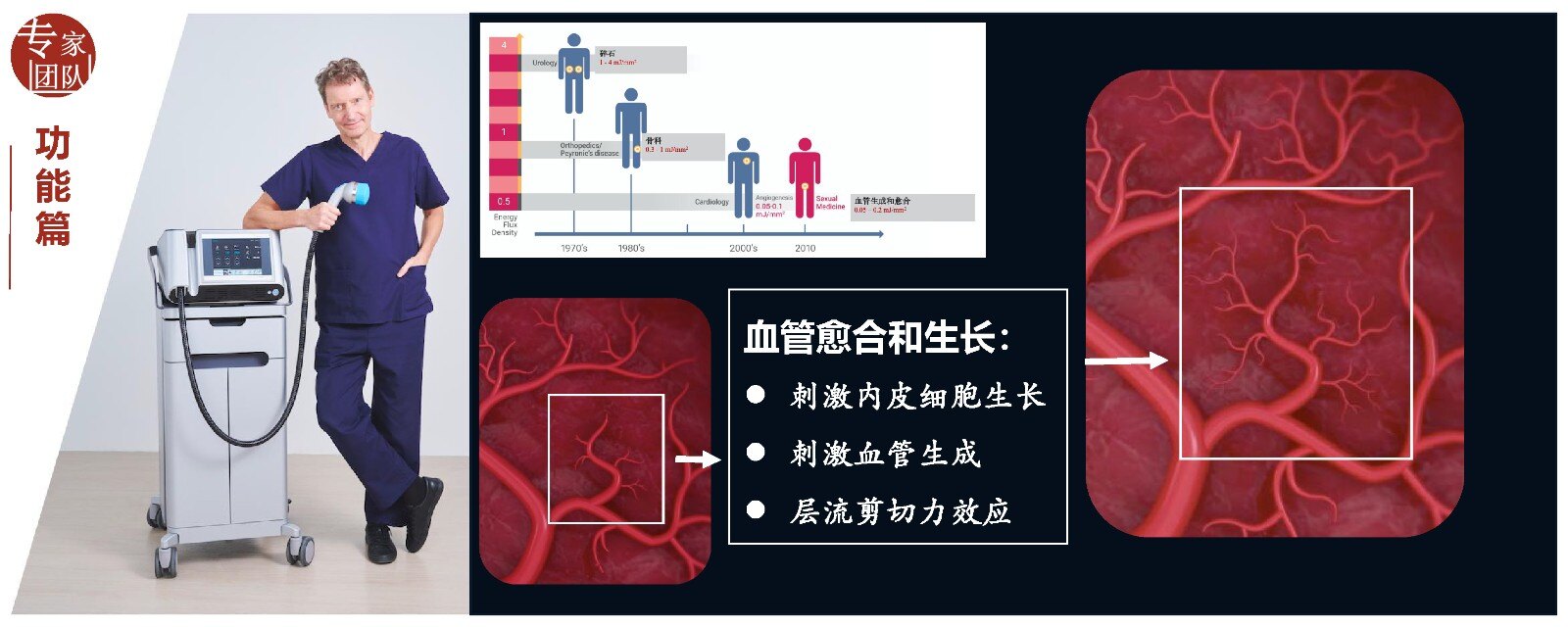 神经型一氧化氮合酶(nnos)和血管内皮生长因子(vegf)含量,修复海绵体