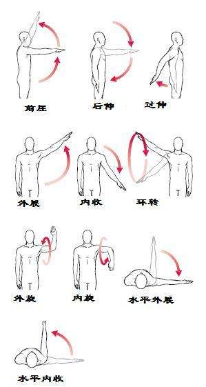 肩关节活动—写给rebert
