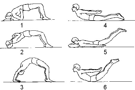 飞燕式 说明:  1.