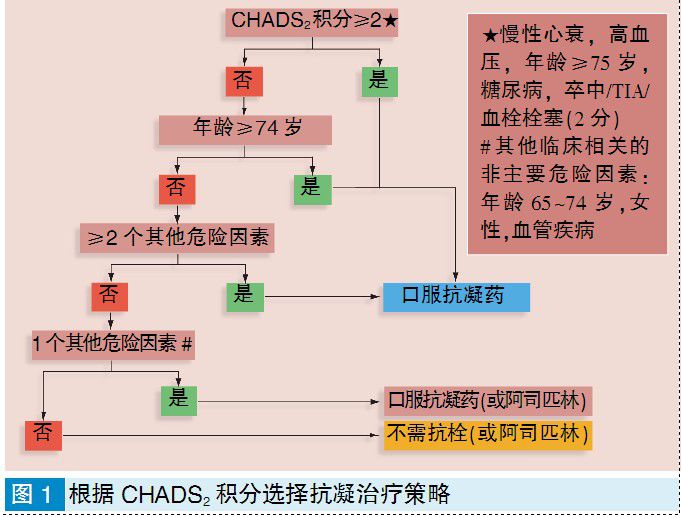 青岛市海慈医疗集团 鲁召欣 文章列表>2010年《esc心房颤动治疗指南