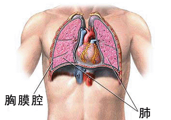 找医生 按疾病找医生 首页 疾病知识 下载客户端 航天总医院 陈应泰