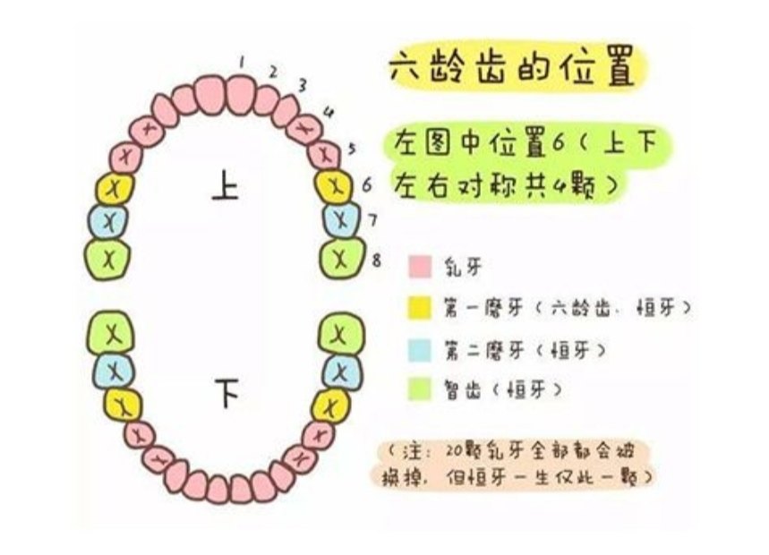 如何保护六龄牙_儿童牙病_儿童牙病 - 好大夫在线