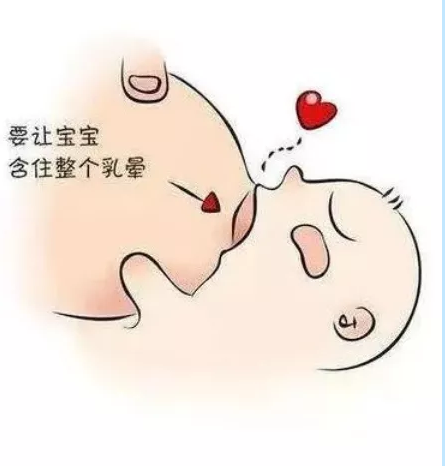 确保宝宝的头是向上仰的,下巴微微抬起紧贴着乳房,鼻子尖远离乳房皮肤