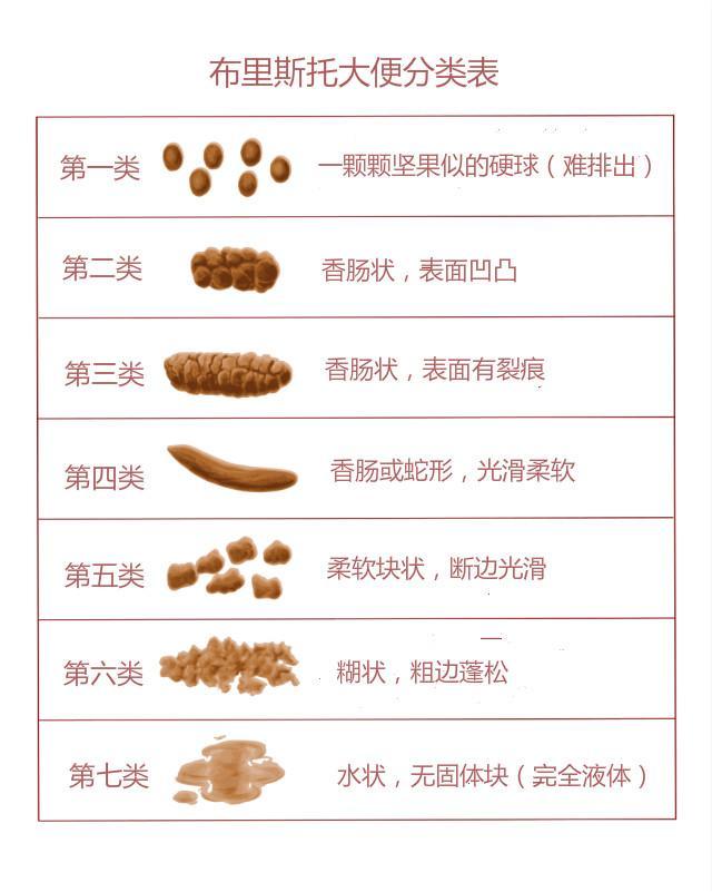 初步判断你是便秘还是腹泻大便性状分类和意义