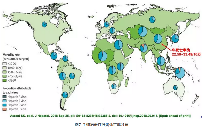 2018我国肝病流行病学和肝病负担