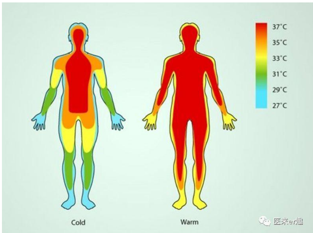 因为咱们说的温度都应该是核心温度,这才是对人体最重要的温度.