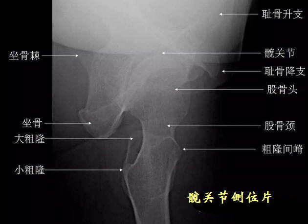 蛙式位本文为转载文章,如有侵权请联系作者删除.