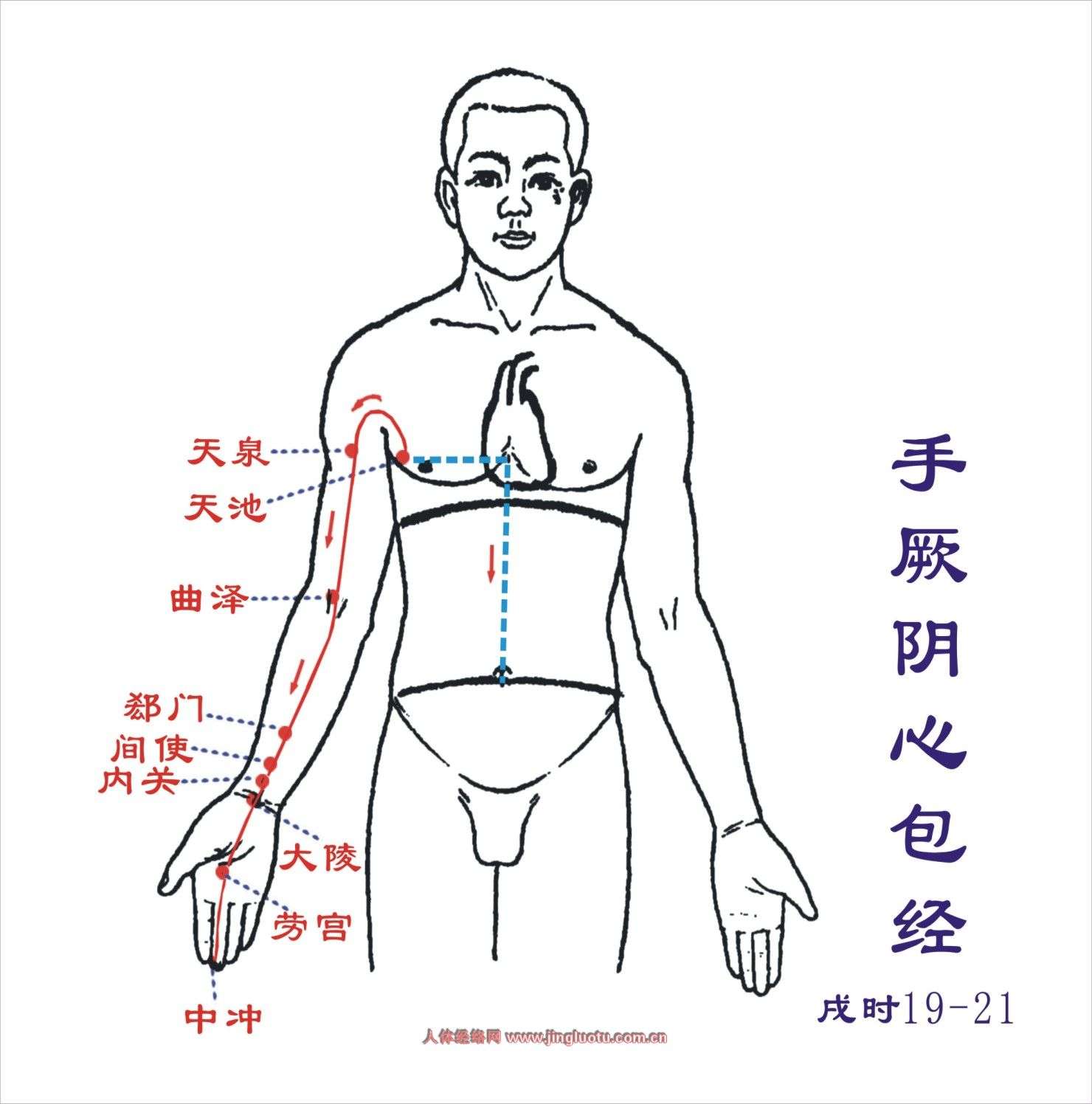 15-八脉交会穴