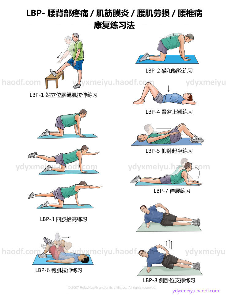 lbp-腰背部疼痛/肌筋膜炎/腰肌劳损/腰椎间盘突出症康复练习法-ydyx