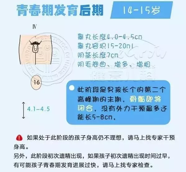 由于男孩青春期开始发育的标志比较隐蔽,如果孩子不说,家长一般难以