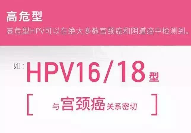 hpv到底是个什么鬼?与宫颈癌有什么关系?