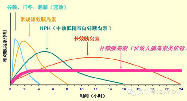 第79期常用胰岛素及其作用特点