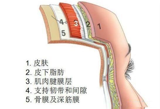 5,年龄越大,皮肤越松弛,做埋线提拉的效果越好.