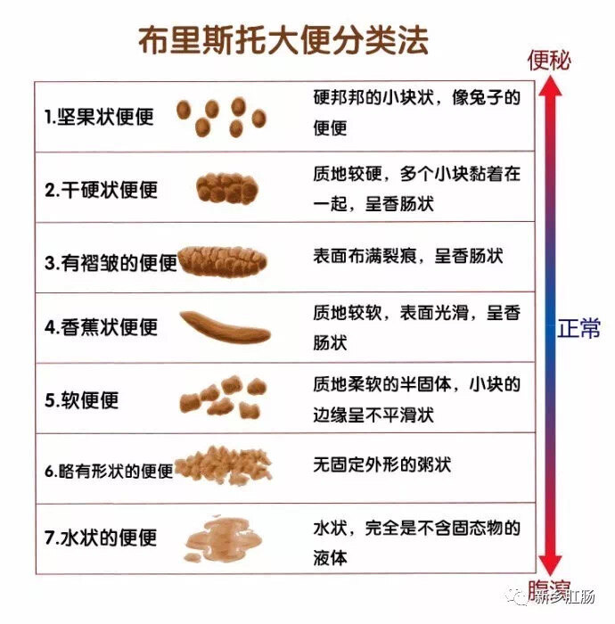 大便肠道健康的代言人