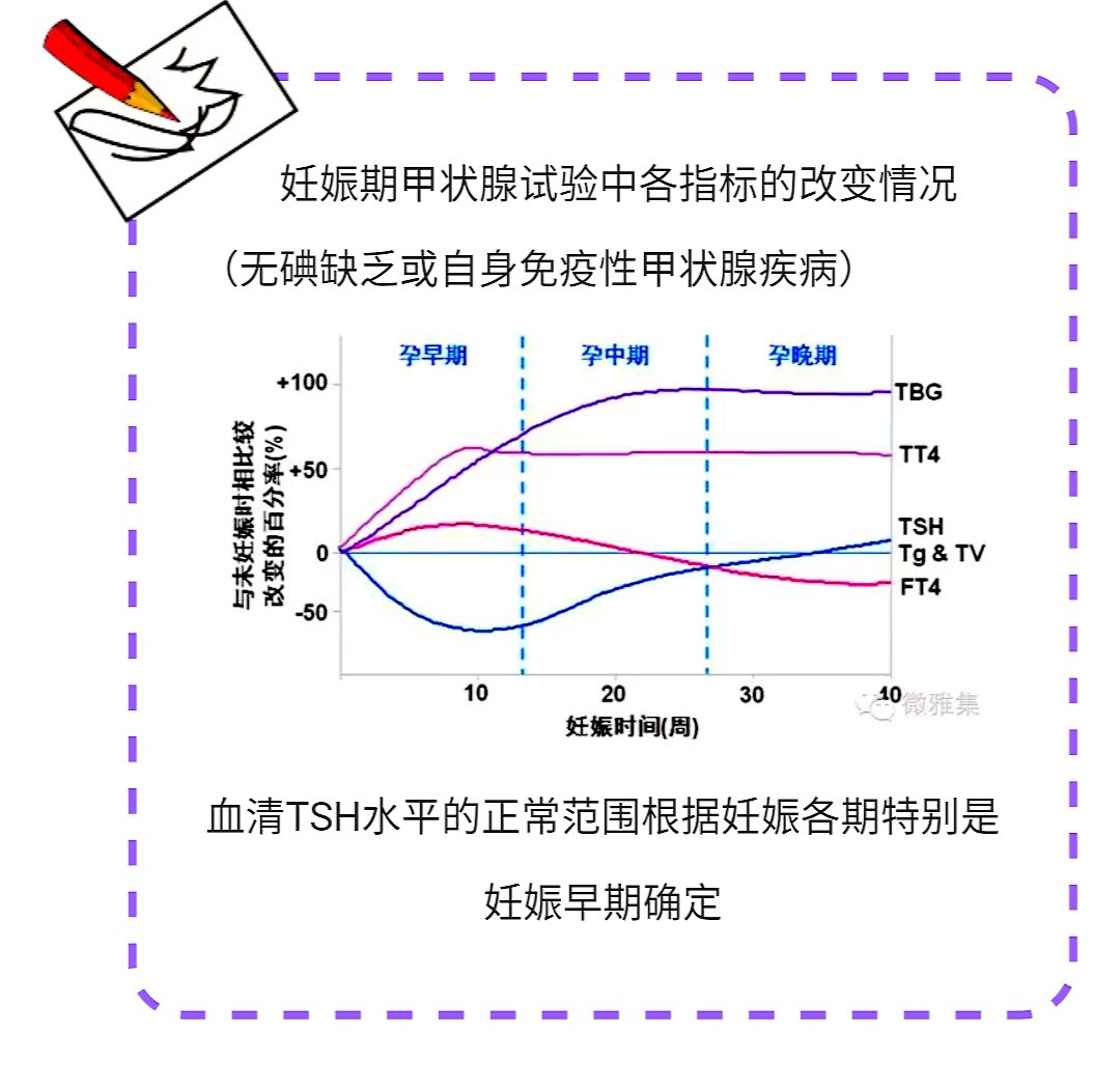 妊娠期母体甲状腺激素有何变化?如何正确评估化验结果?