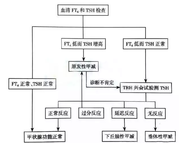 甲状腺功能亢进和低下的症状_好大夫在线