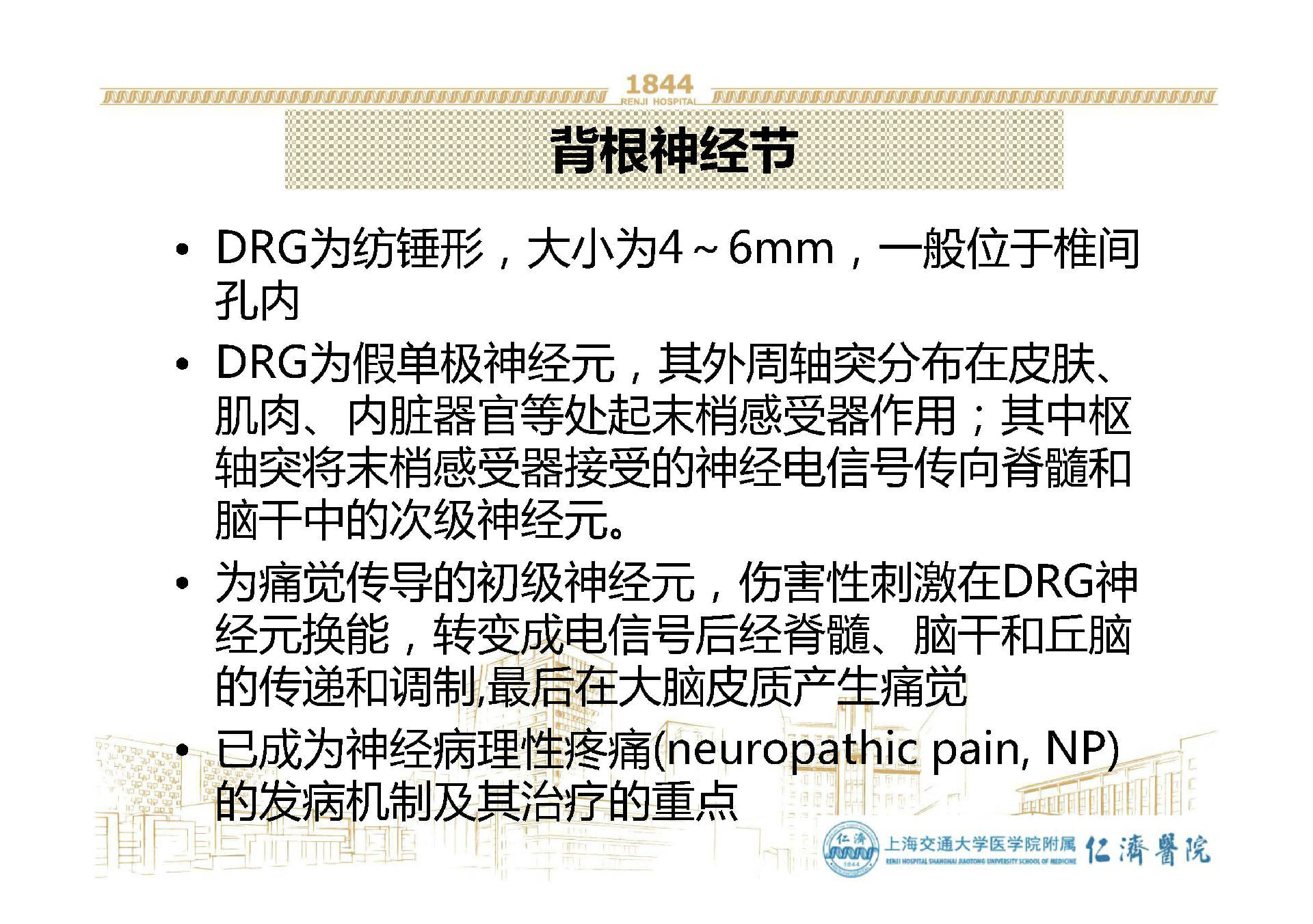 c2背根神经节穿刺路径