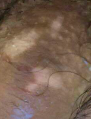 1545212869889041.png blob.png