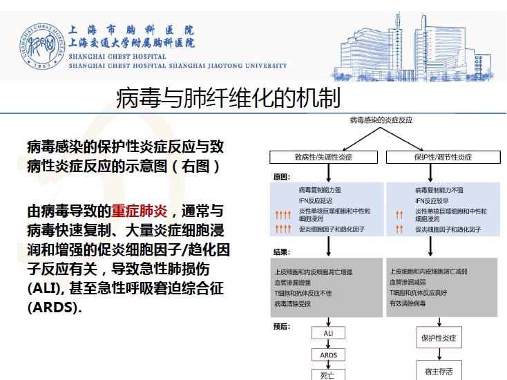 新冠病毒感染与肺纤维化