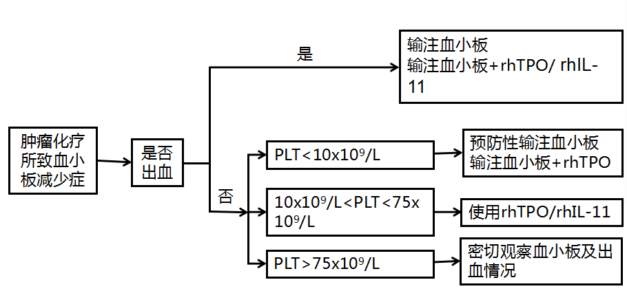 特比澳和艾曲波帕图片