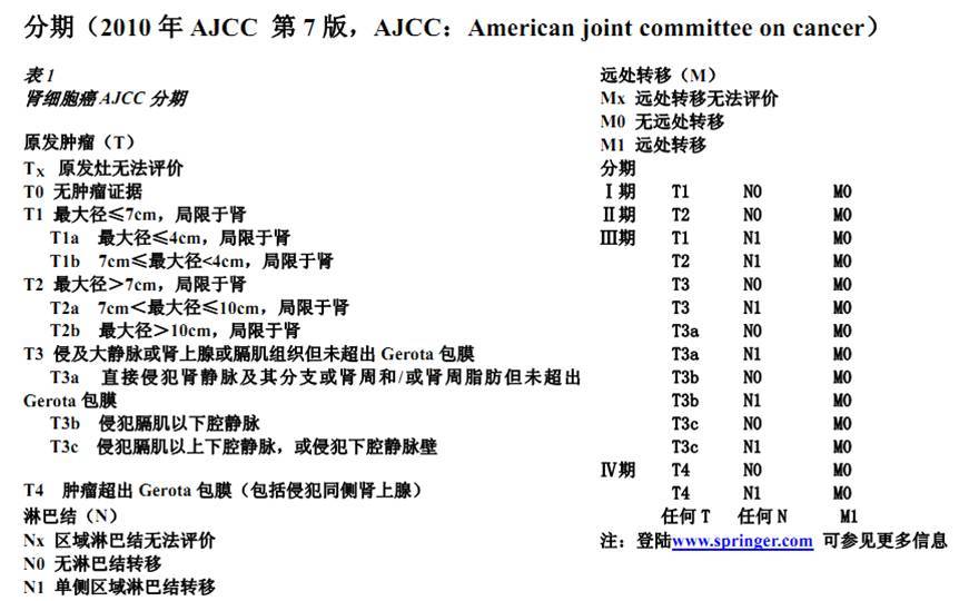 2009/2010 ajcc tnm 肾癌分期