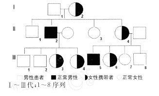 血友病遗传图谱图片