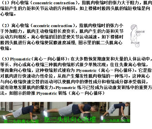 向心收缩,离心收缩,plyometric(离心-向心循环)肌力训练 - 好大夫在线