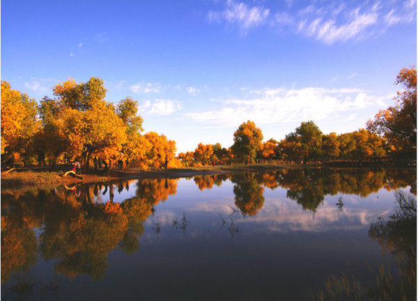 从容地品尝生命的滋味读后感