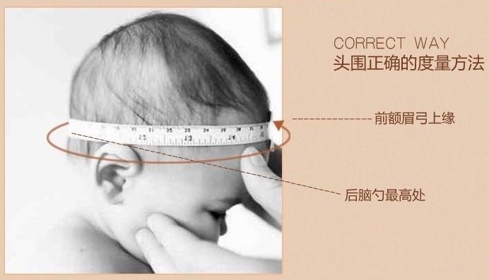 中国宝宝的头围标准和正确测量_儿童保健_儿童保健日常护理 - 好大夫在线