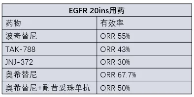 2019年肺癌靶向藥現狀