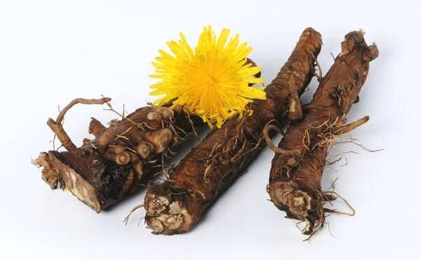 黄花郎 南阳市第六人民医院 中医科 仲景苑