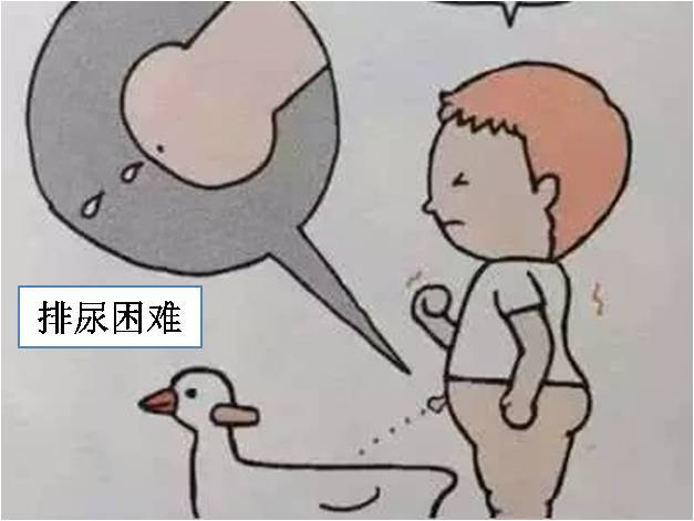 小便无力,小便分散,尿频,包皮口反复感染,红肿,尿痛和尿路感染