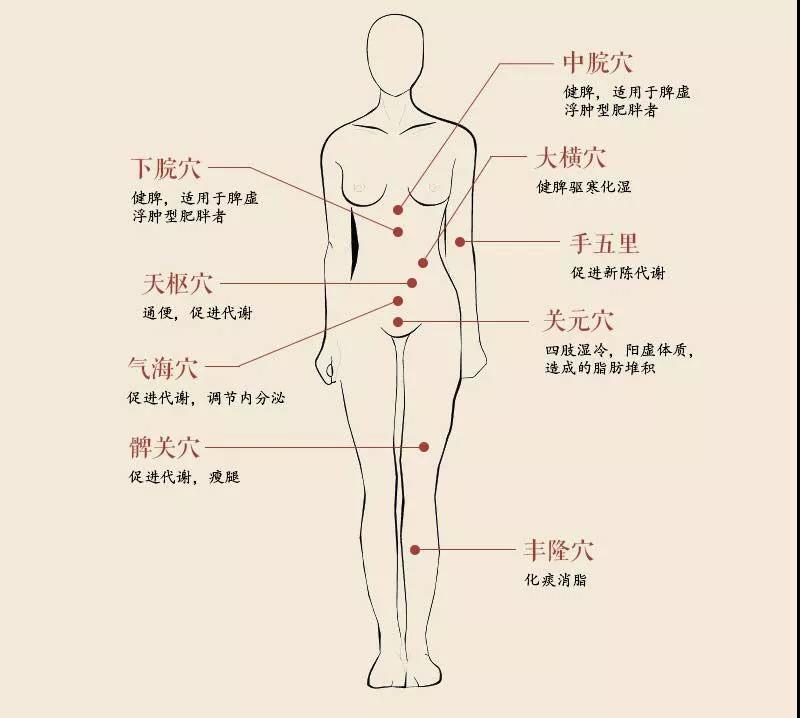 埋线减肥法的原理_埋线减肥的优缺点