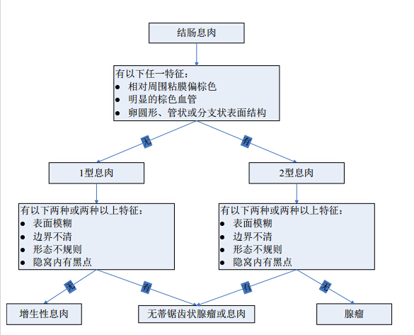 胃息肉山田分型图片图片