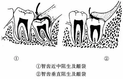 微信图片_20190416134301.png