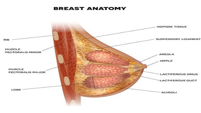 乳头溢液怎么回事 乳头溢液